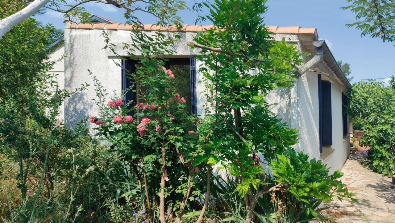 Chambre Privee Dans Maison En Garrigue Nîmes Esterno foto